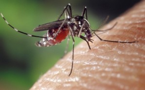 Protect yourself from the Zika virus!